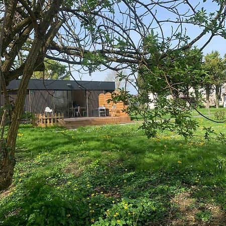 L'Endroit : Studio De Jardin Adapte Pmr 40M2 Aigrefeuille-dʼAunis Exterior foto